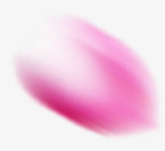 高清模糊花瓣png素材免抠