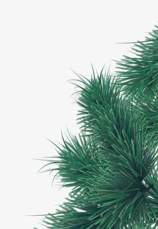 手绘青草素材免抠