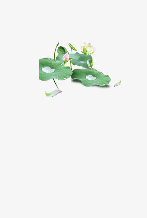 手绘池塘荷花免抠