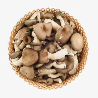 秀珍菇免扣素材免抠