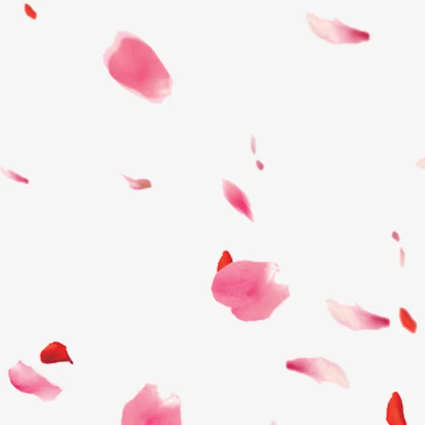 粉色唯美散落花瓣素材免抠