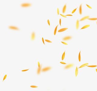 落叶免抠漂浮叶子元素