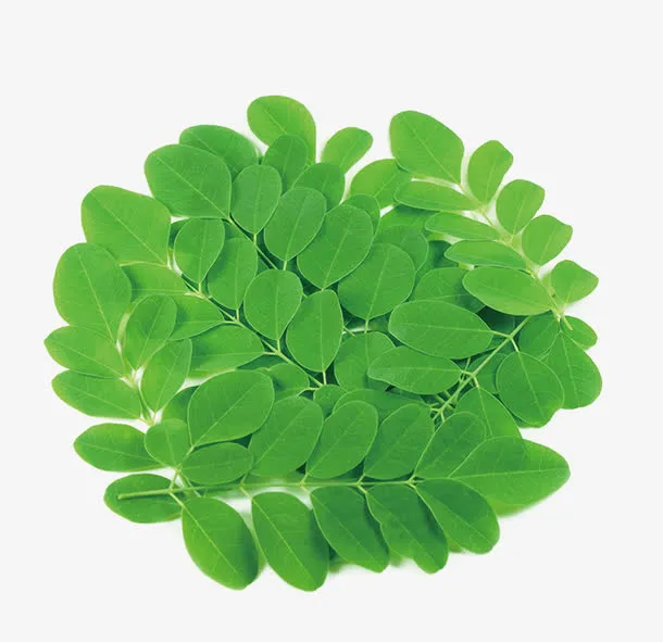 藏药元素免抠