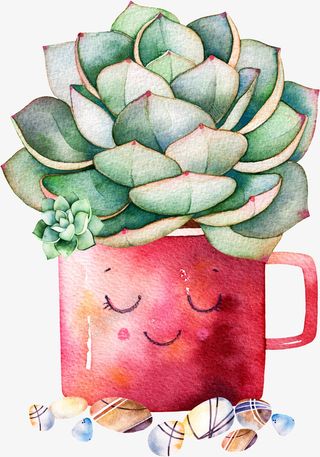 手绘水彩中国风多肉盆栽插画免抠