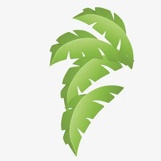 矢量芭蕉叶免抠