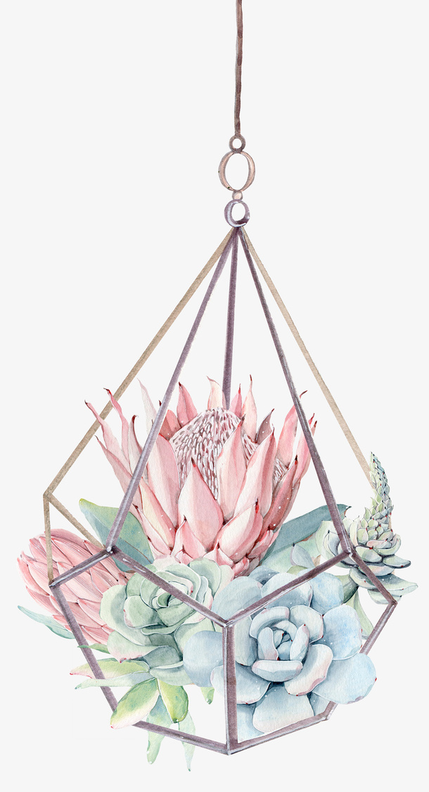 手绘卡通多肉吊篮组合免抠