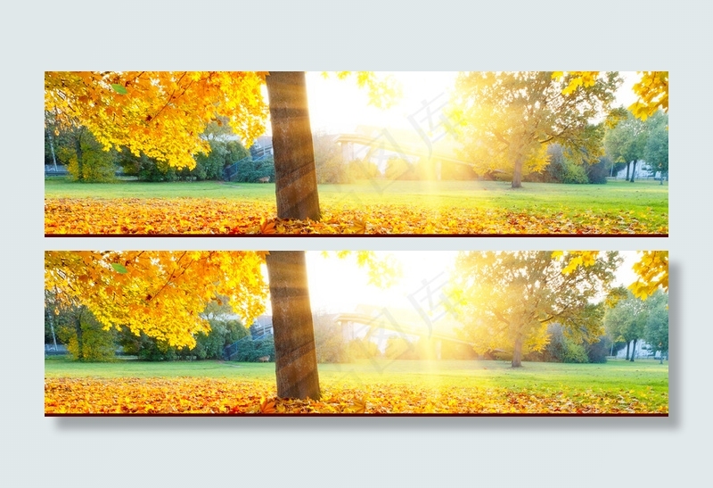 秋季风景背景高清