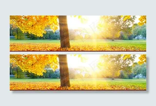 秋季风景背景高清