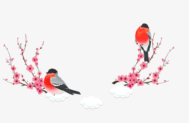 红色花鸟免抠