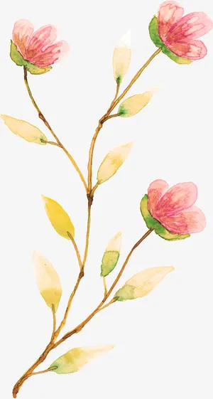 手绘的植物免抠