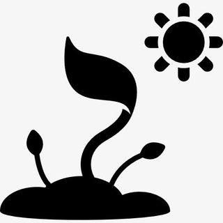 植物生长图标免抠