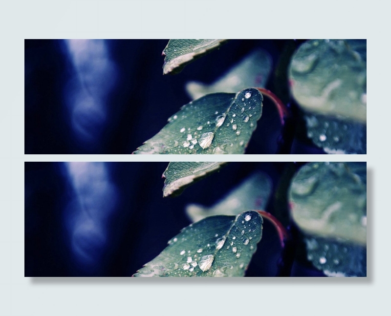 叶片水珠背景高清