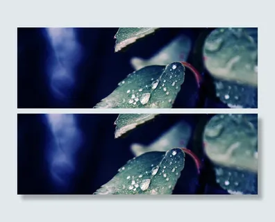 叶片水珠背景高清