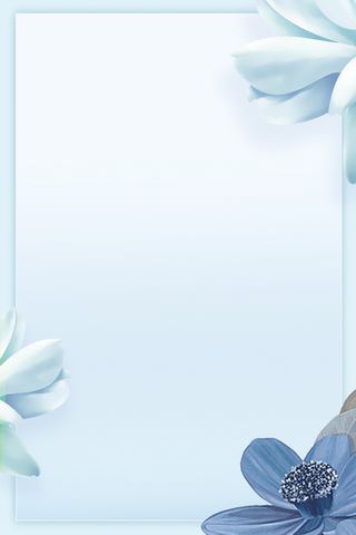 双十一折扣优惠活动高清