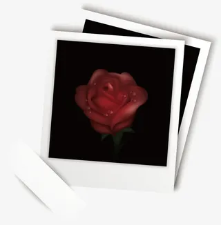 不规则相框黄色相框免抠