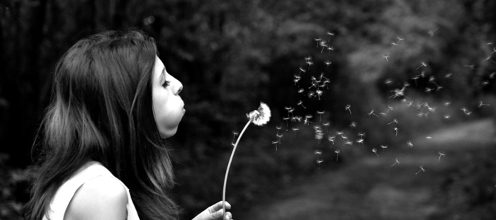 唯美女孩蒲公英高清