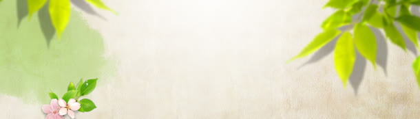 绿叶背景banner