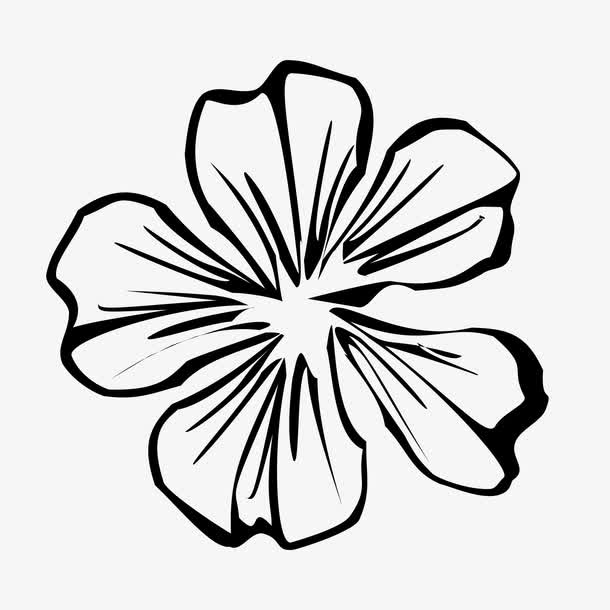 黑白剪影多形状花朵免抠