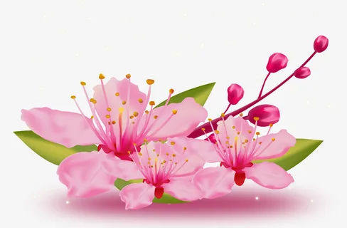 桃花手绘花枝元素图免抠手绘/卡通手绘元素