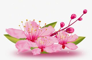 桃花手绘花枝元素图免抠手绘/卡通手绘元素