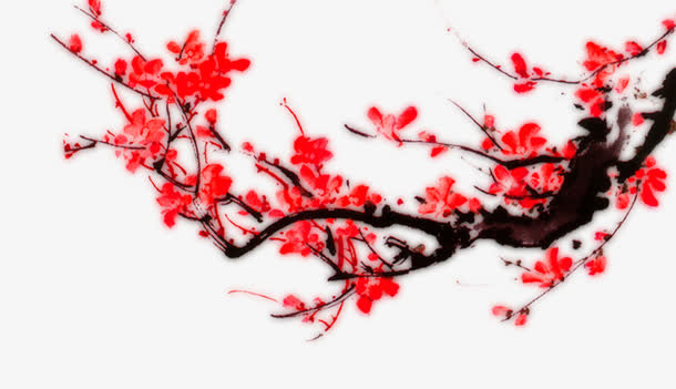 红红的梅花免抠