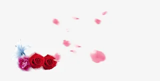 飘浮花瓣免抠