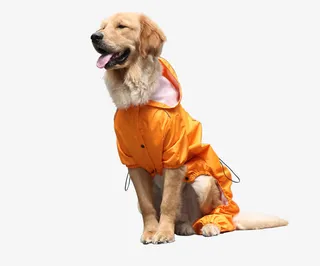 穿衣服的小狗免抠