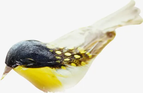 创意摄影春天的小鸟免抠装饰动物元素 创意摄影春天的小鸟免抠装饰动物元素