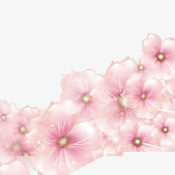 花卉免抠