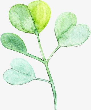 水彩爱心叶子免抠