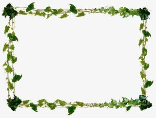 绿色春天季节树叶边框免抠