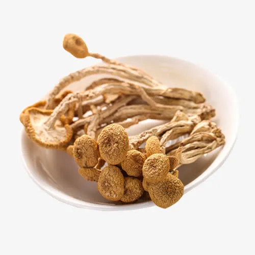 炖汤食材免抠
