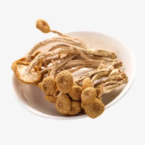 炖汤食材免抠