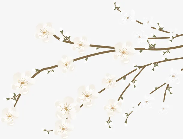 矢量白色花朵和树枝免抠