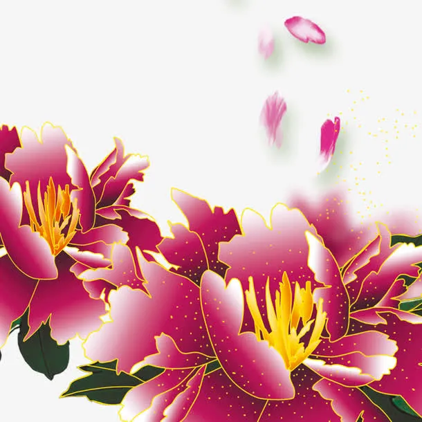花开富贵免抠
