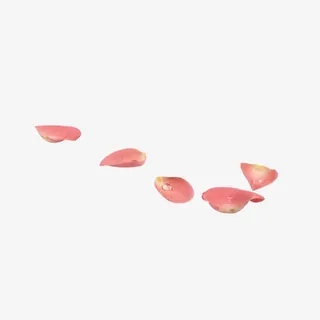 桃花花瓣飘落免抠