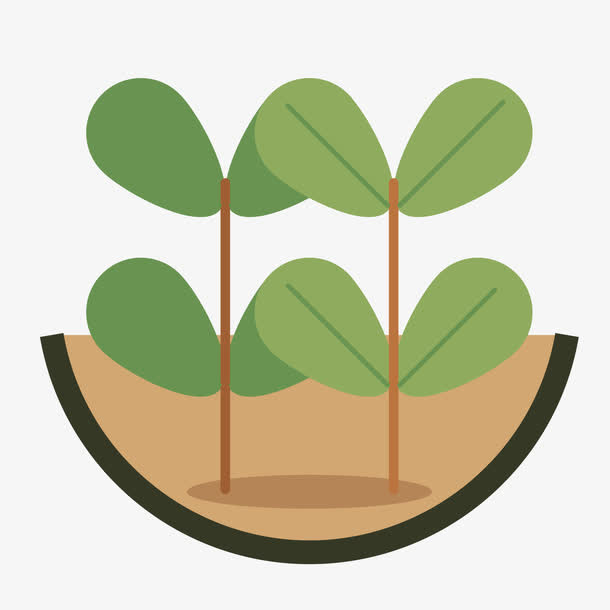 植物生长PNG下载免抠