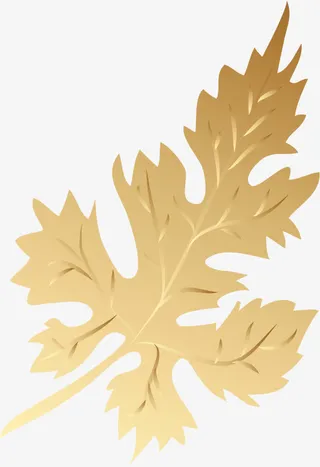 欧式花边角花底纹素材免抠