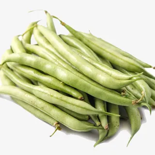 绿色新鲜芸豆免抠 绿色新鲜芸豆免抠