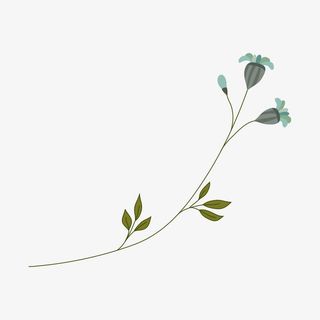 手绘小清新花卉免抠