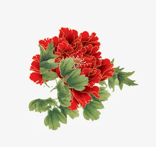 红色牡丹图片免抠