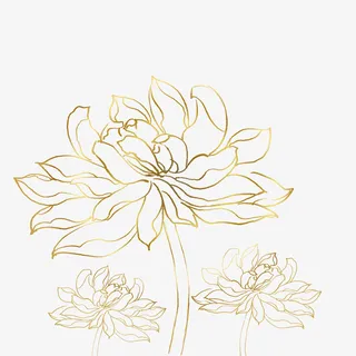 中国风国潮渐变纹理莲花植物元素免抠