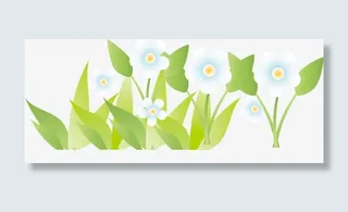 春暖花开白色小花免抠