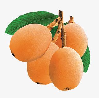 手绘枇杷叶枇杷果免抠