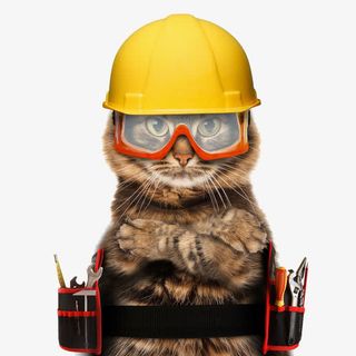 猫咪消防员免抠