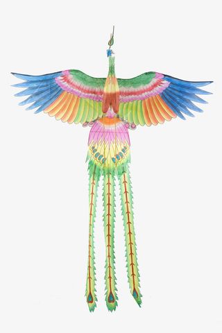 竖直飞翔的朱鸟免抠