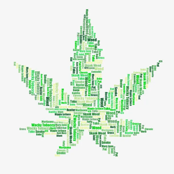 用英文字母作底纹的叶子免抠