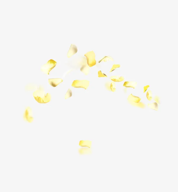 黄色花瓣免抠
