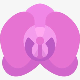 兰花图标免抠