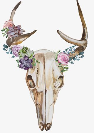 手绘羊头骨装饰免抠